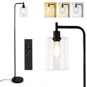 Modern Industrial Floor Lamp with 6W LED, Clear Glass Shade, Black Spray Paint, Remote Control, Dimmable, Safe for Kids, Easy Assembly, Living Room or Office
