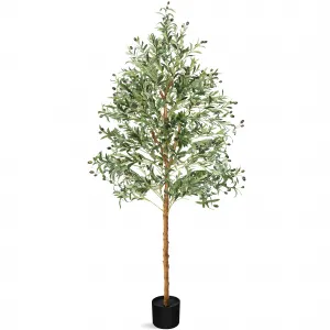 Artificial Olive Tree 6FT Tall + Fake Potted Olive Tree + Modern Home Office Decor + Silk Plant + Natural Wood Trunk + Lifelike Fruits + Living Room