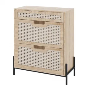 Natural Rattan Shoe Cabinet with 2 Flip Door and 1 Drawer, Freestanding Shoe Storage Organizer, Modern Narrow Shoe Rack with Adjustable Shelves for Entryway Hallway, Black+Oak