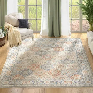 Boho Rug 8x10 Area Rugs for Living Room Vintage Rug Turkish Grey Rug Non-Shedding Large Carpet Medallion Floral Rug for Bedroom Living Room 8x10 Floor Mat Accent Rug Large Mat, Multi