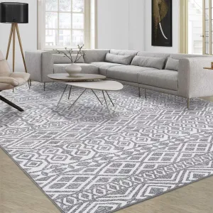 Washable Area Rug 5x8 Geometric Living Room Rug Boho Grey Rug for Bedroom Non Slip Non Shedding Large Throw Rugs Indoor Accent Floor Carpet Home Decor Mat for Dining Room Nursery