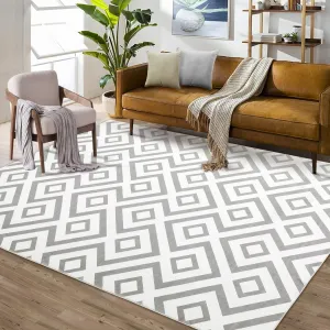 5x7 Rug for Bedroom Machine Washable Rugs Throw Rugs Non Slip Rugs for Living Room Fluffy Rug with Rubber Backing Stain Resistant Carpet 5'x7' Grey