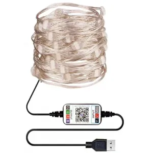 LED String Lights 2700K 25lm Adjustable Brightness Speed APP Control Fairy Lights for Christmas Party Wedding Decoration 2 Meters 20 Lights