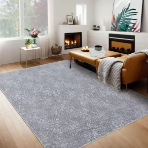 Modern Solid Area Rug Soft Machine Washable Non-Slip Low Pile Foldable Carpet for Living Room, Dining Room, Office, Grey