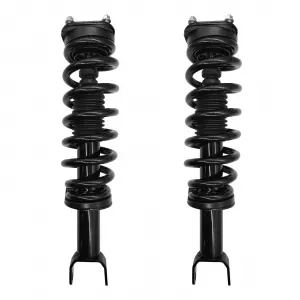 Front Pair Complete Strut Spring Assembly Compatible with Ram 1500 2009-2018 - 172292
