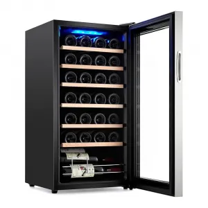 28 Bottle Compressor Wine Cooler, Wine Cellar with Adjustable Temp Control, Freestanding Beverage Refrigerator for Red, White, Champagne, Beer, Soda