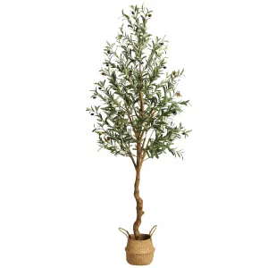 Artificial Olive Tree 6FT Tall - Realistic PE Trunk, Lifelike Leaves & Fruits, Silk Material, Adjustable Branches, Home & Office Decor