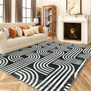 Soft 2x3 Area Rug, Anti Slip, Washable, Pet Friendly, Faux Cashmere Modern Carpet for Living Room Bedroom, Black