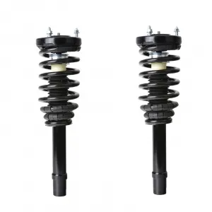 2006-2011 Azera/06-10 Sonata Front Strut Spring Assembly Pair