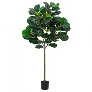 5.2 Ft Artificial Fiddle Leaf Fig Tree, Faux Ficus Lyrata Plant with 62 Fiddle Leaves, Tall Fake Plants Large Floor Plant with Pot for Indoor Living Room House Office Decor Housewarming Gift