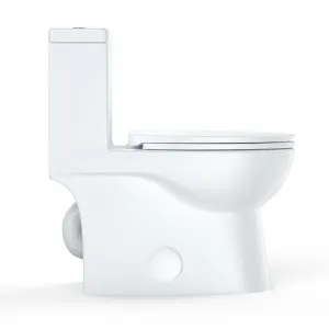 Dual Flush Elongated Toilet, One-Piece Toilet with Soft Close Seat, High-Efficiency Supply, White