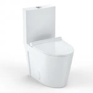 Elongated Toilet for Bathroom, One Piece Toilet with Soft Closing Seat,Comfort Height, Dual Tornado Flush 1.6 GPF Toilet