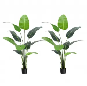 5ft Bird of Paradise Artificial Tree with 10 Trunks, Adjustable Shape, Durable Cement Pot, Faux Banana Plant for Indoor Outdoor Decor