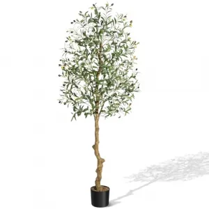 Olive Trees Artificial Indoor, 6FT Tall Olive Tree Plants, Faux Olive Tree with Realistic Trunk, Leaves, Fruits for Home Office Decor