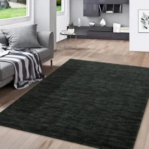 Modern Solid Black 8x10 Area Living Room Rugs Large Soft Washable Rug Modern Rug Non Slip Ultra-Thin Low Pile Rugs for Bedroom Stain Resistant Indoor Floor Cover Foldable Accent Rug for Playroom Office