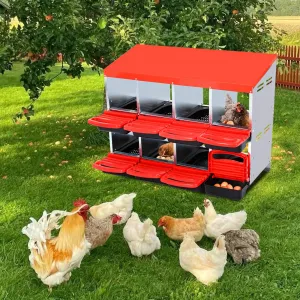 Nesting Boxes for Chickens, 8 Compartment Roll Away Nesting Box with Egg Collection, Perch, Lid Cover for Egg Protection, Wall Mount/Free Standing Nest Box for Chickens