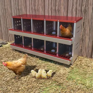 10-Compartment Galvanized Steel Nest Box - w/Perch Rod, Egg Tray & Ventilation, Rustproof for Poultry Coops Quick Assembly