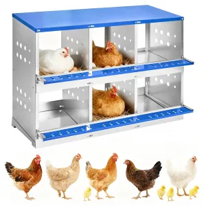 Heavy Duty 6-Compartment Metal Chicken Nesting Box – Galvanized Steel, Rollaway Egg Collection, Ventilated, Rustproof, Wall-Mounted or Floor, Easy Clean – Space-Saving Hen Layer for Poultry Coop – Without Cover, Blue, 96×48×71cm