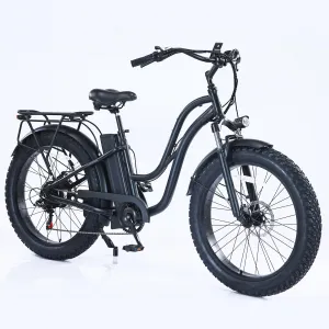Beach Electric Cycle, 750W Brushless Motor, 26" Mountain Bike for Adults, 48V/16Ah Removable Battery, Max Speed 32 Miles/Hour, Use Larger Size Display,7 Gears e-Bike,4 Modes
