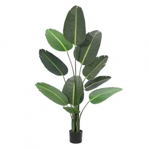 5 Feet Artificial Bird of Paradise Plant, Indoor Outdoor Faux Tree with 10 Trunks, Tropical Palm Trees Room Decor, Natural Floor Plant for Home Garden Living Room