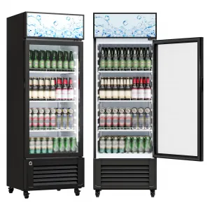 10 Cu.Ft Commercial Merchandiser Refrigerator Glass Door Beverage Cooler Black for Restaurants Stores Offices