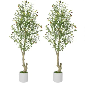 5ft Artificial Olive Trees Indoor,Tall Fake Plants with 72 Lifelike Olive Fruits & 864 Dense Leaves, Faux Plants in White Imitation Ceramic, Perfect for Modern Home Decor, 2pack