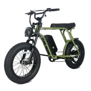 Electric Mountain Bike for Adults 20" x 4.0 Fat Tire, E-Bike 750W Motor 48V 15.6Ah Removable Battery, Max Speed 40MPH, Shi mano 7-Speed Adult Electric Bicycle for Off-Road Adventures, Green