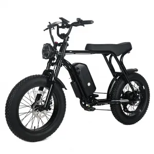 Electric Mountain Bike for Adults | 20" x 4.0 Fat Tires, 1000W Motor, 48V 20Ah Removable Battery, Max Speed 20MPH, Shi Mano 7-Speed for Off-Road Adventures