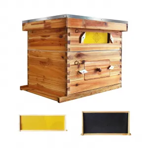 10-Frame Langstroth Beehive Kit with Acrylic Window, Beeswax Coated, Cedarwood, Easy Assembly, Ventilated, Starter Kit for Beekeepers