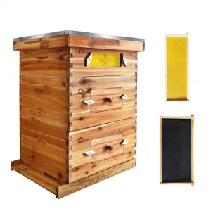 10-Frame Langstroth Beehive Kit with Acrylic Window, Beeswax Coated Cedarwood, Easy Assembly, Ventilated Design, Complete Starter Set for Beekeeping