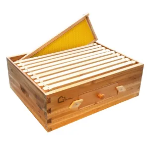 10-Frame Medium Super Bee Hive Box Langstroth Compatible Beeswax Coated Cedarwood Transparent Window Ventilated Observation Tool-Free Assembly Outdoor Beekeeping