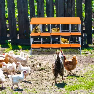 Chicken Nesting Box 10-Hole Roll Away Egg Laying Box with Lid, Heavy-Duty Galvanized Steel, Rustproof, Orange, with Bracket Legs