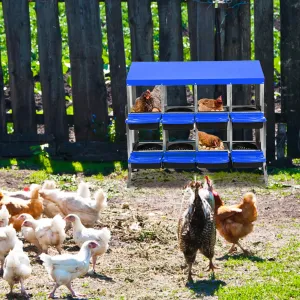 Chicken Nesting Box 8-Hole Roll Away Egg Laying Box with Lid, Heavy-Duty Galvanized Steel, Blue, Easy Clean & Egg Collection