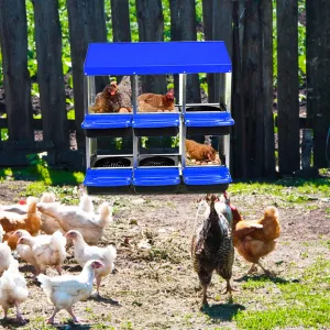 Chicken Nesting Box 6-Hole Roll Away Egg Laying Box with Lid Heavy-Duty Galvanized Steel Rustproof Design Wall-Mountable Blue