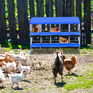 Chicken Nesting Box 10-Hole Roll Away Egg Laying Box with Lid Heavy-Duty Galvanized Steel Rustproof Design Blue with Bracket Legs