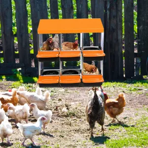Chicken Nesting Box 6-Hole Roll Away Egg Laying Box with Lid Heavy-Duty Galvanized Steel Rustproof Design Wall-Mountable Orange
