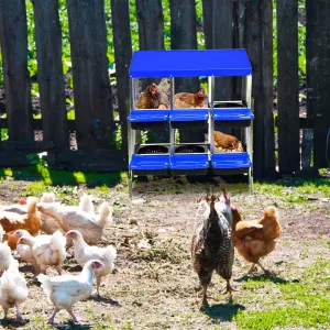 Chicken Nesting Box 6-Hole Roll Away Egg Laying Box with Lid Heavy-Duty Galvanized Steel Rustproof Design Blue with Bracket Legs