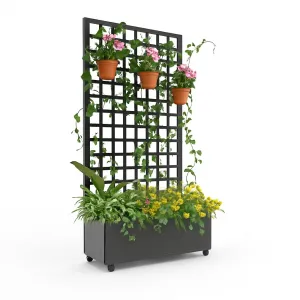 Galvanized Metal Raised Garden Bed with Square Lattice Trellis and Wheels – 72"x35" Outdoor Planter Box for Climbing Plants, Vines, Vegetables – Privacy Screen, Black Finish – Size: Small