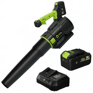 Cordless Leaf Blower 20V Brushless Motor Turbo Boost Lightweight Lithium Battery Yard Cleanup