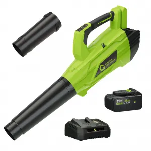 Powerful 20V Wireless Leaf Blower - 6-Speed Lightweight Electric Blower for Lawn & Garden, Portable Wireless Outdoor Debris Cleaner, Handheld, Black & Green