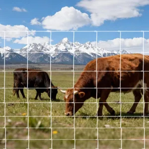 5FT x 328FT Heavy Duty Farm Fence, Galvanized Wire Livestock Fencing for Goats, Cattle & Deer, High-Zinc Field Fence Roll for Yard, Pasture & Ranch Protection