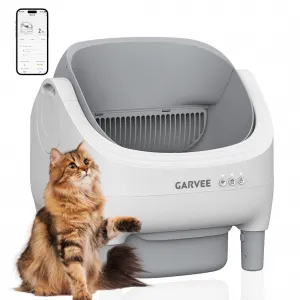 Self-Cleaning Cat Litter Box with App Control, Automatic Litter Box with Odor-Free 10.5L Bin, Whisper-Quiet, 7-Layer Safety, Open-Top Design for Large & Multiple Cats, Gray