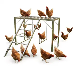 Metal Chicken Roosting Bars with Swing & Ladder, Heavy Duty, Weatherproof Carbon Steel, 4-Tier Exercise Perch, Silver, for Backyard Farms