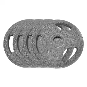 Cast Iron Weight Plates Set 1 Inch Bumper Plates for Home Gym Strength Training Weightlifting 2.5 LBS to 25 LBS Black