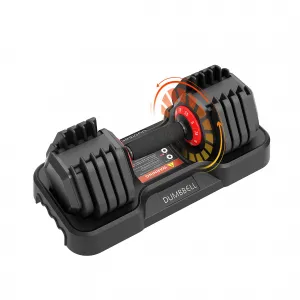 Adjustable Dumbbell Set 25LBS with Anti-Slip Handle and Tray for Home Gym Strength Training, Black