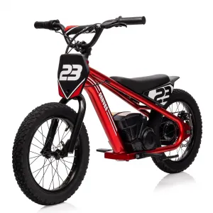 Ride - G Series: 250W Motor 3-Speed 24V Detachable Battery Aluminum Frame 16IN Off-Road Tires Ages 6-12 Outdoor Riding