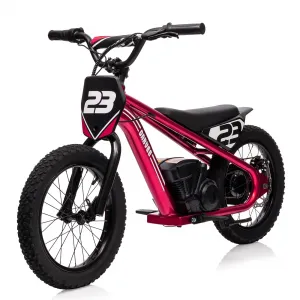 Ride - G Series: 16 Inch Kids Electric Balance Bike 250W Motor 3 Speed Settings Aluminum Frame Detachable Battery Off-Road Tires for Ages 6-12 Outdoor Adventure