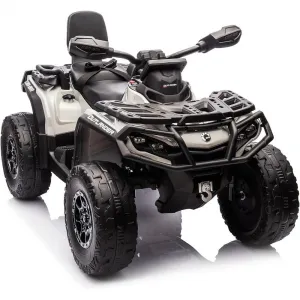 Ride - P Series: 2 Seater Ride On Car 24V 4WD Electric ATV, Leather Seats, Safety Belt, Bluetooth, Adjustable Speed, Yellow, Outdoor Adventure - Grey