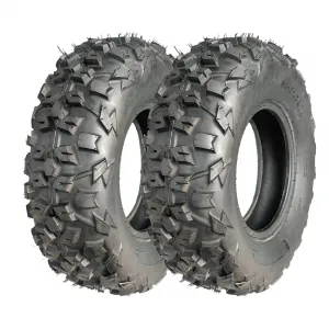20x6-10 ATV Tires 2-Pack 6PR Mud Tire, Front All Terrain Trail Sand Off-Road, Reinforced Sidewall, Tubeless, Black