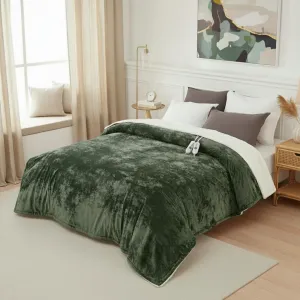 Heated Blanket Queen Size with Dual Control, Velvet Soft Fast Heating Blankets Queen, 4 Heat Settings & 10H Auto Off, Machine Washable, ETL Certified Electric Blanket, 84"x90" Green